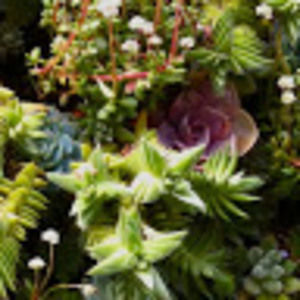 Meet your Posher, Kellee